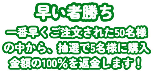 Chuwi JP Store | Marry Christmas Party
